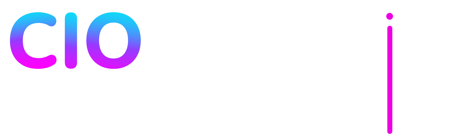 CIO Summit